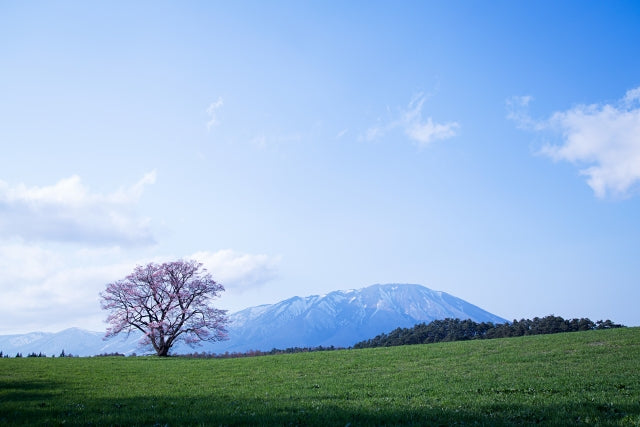 Nature in Japan Should Be Experienced In Your Lifetime